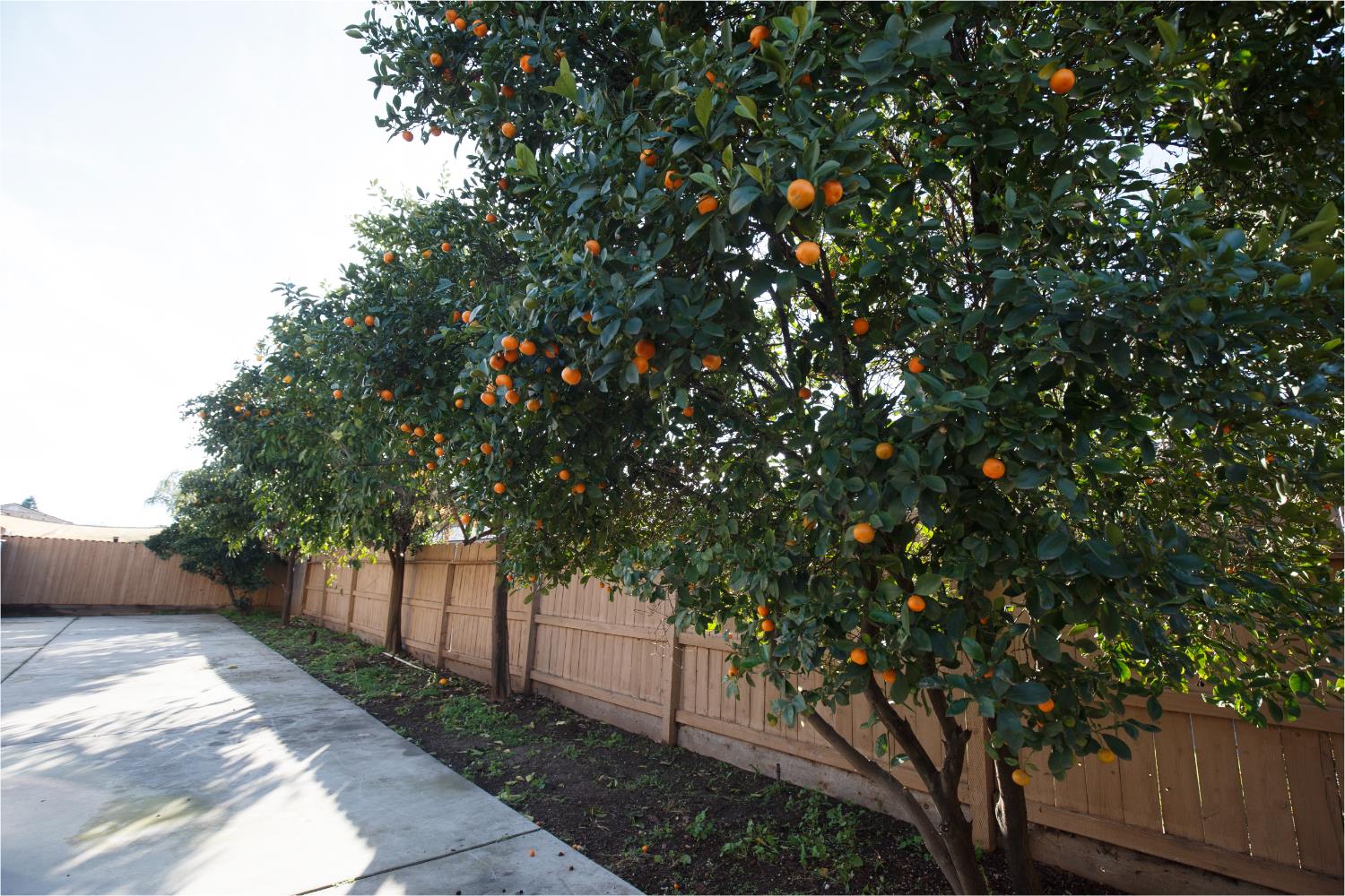 2668 Scott Ave, Clovis, CA 93611