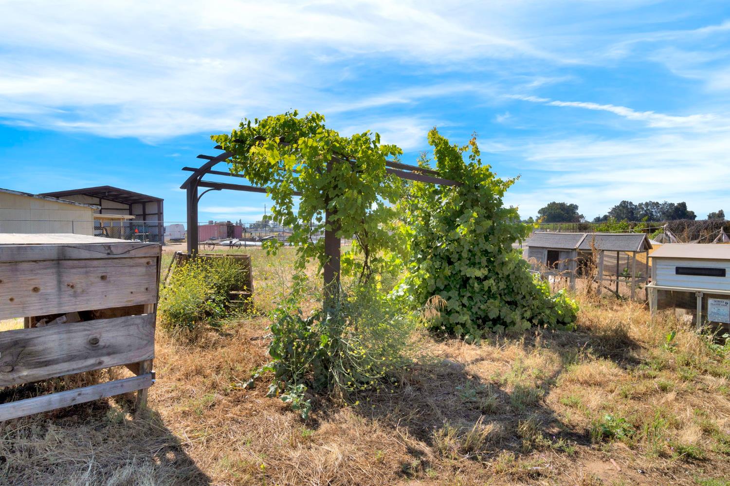 9569 E Olive Ave, Sanger, CA 93657